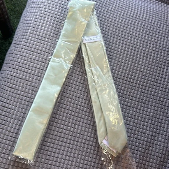 Azazie Gentlemen’s Collection Satin Skinny Tie - Picture 3 of 9